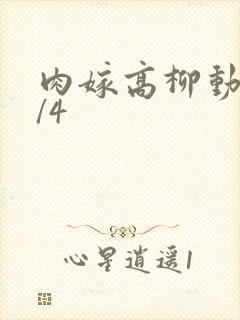 肉嫁高柳动漫1/4