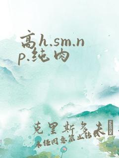 高h.sm.np.纯肉