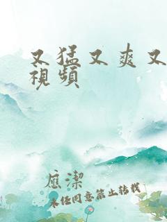 又猛又爽又黄的视频