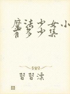 魔法少女小圆共有多少集