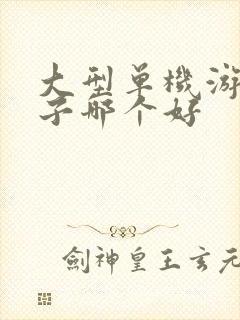 大型单机游戏盒子哪个好