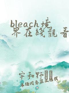 bleach境界在线观看高清免费