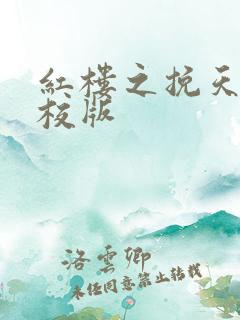 红楼之挽天倾精校版