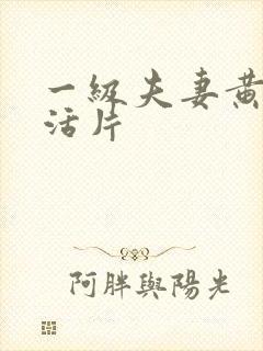 一级夫妻黄色生活片