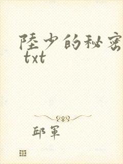 陆少的秘密恋人 txt