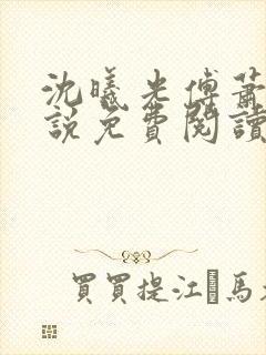 沈曦光傅萧野小说免费阅读