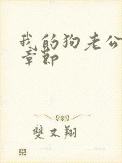 我的狗老公最新章节