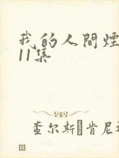 我的人间烟火第11集