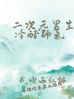 二次元男生头像 冷酷帅气