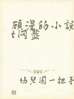 顾漫的小说txt网盘