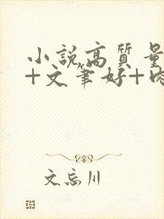 小说高质量言情+文笔好+肉