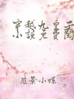 穿越九皇子夏天小说免费阅读