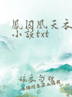凤囚凰天衣有风小说txt