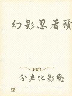 幻影忍者积木龙