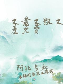 又黄又粗又猛国产免费