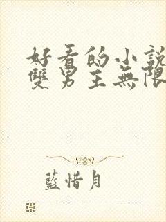 好看的小说推荐双男主无限流