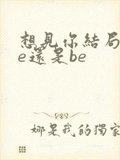 想见你结局是he还是be