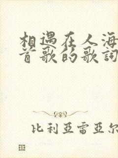 相遇在人海是哪首歌的歌词