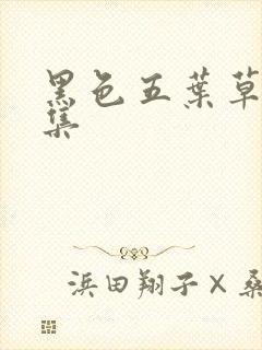 黑色五叶草第二集