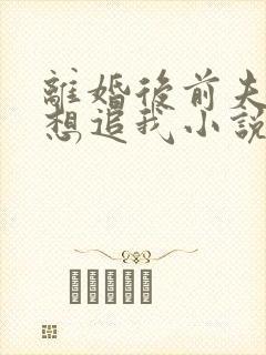 离婚后前夫总是想追我小说免费阅读