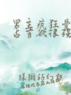 男主疯狂爱女主占有欲很强的小说