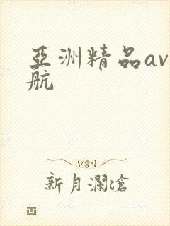 亚洲精品av导航