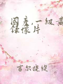 国产,一级黄色录像片