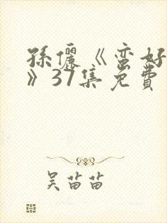 孙俪《蛮好人生》37集免费观看