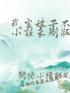 我家娘子不对劲小说未删版全文
