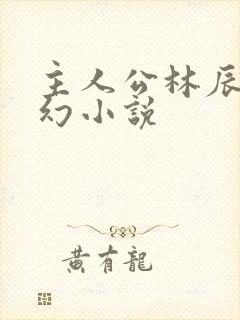 主人公林辰的玄幻小说