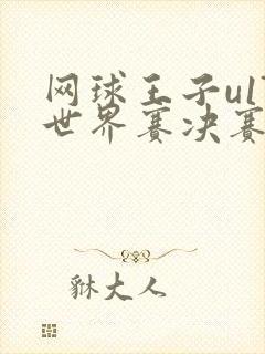 网球王子u17世界赛决赛