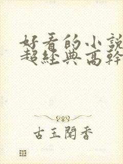 好看的小说推荐超经典高干文