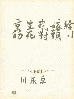 重生我嫁给渣男的死对头 小说