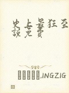 史上最狂至尊小说免费