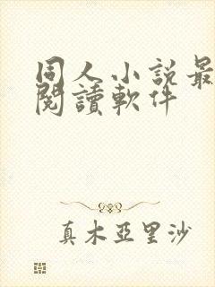 同人小说最好的阅读软件