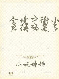 全境守卫小程序兑换码是多少