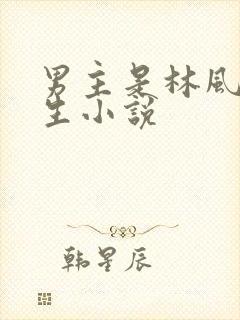 男主是林风的重生小说