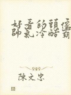 好看的头像男生帅气冷酷霸气