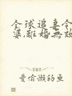 全球追妻令:老婆,离婚无效 小说