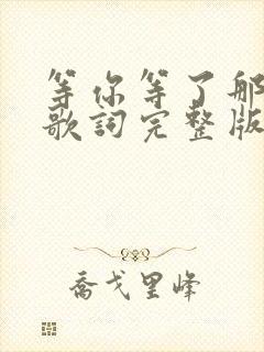 等你等了那么久歌词完整版的