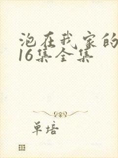 泡在我家的辣妹16集全集