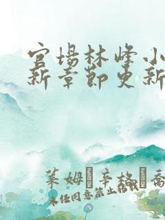 官场林峰小说最新章节更新内容介绍