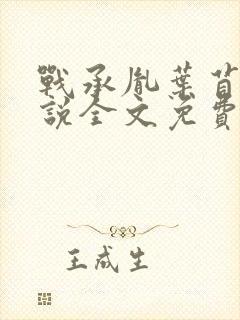 战承胤叶苜苜小说全文免费