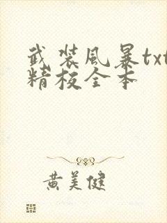 武装风暴txt精校全本