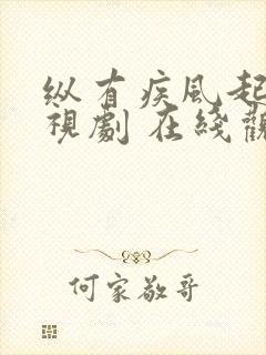 纵有疾风起 电视剧 在线观看