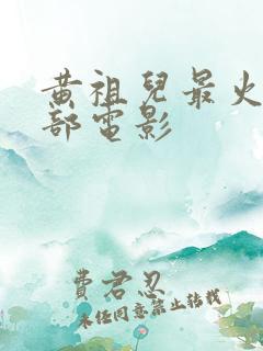 黄祖儿最火的十部电影