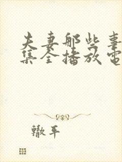 夫妻那些事24集全播放电视剧星辰