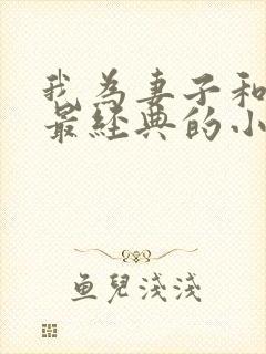 我为妻子和父亲最经典的小说阅读