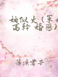 她似火 (军婚 高干 婚恋)