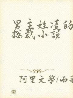 男主姓凌的霸道总裁小说